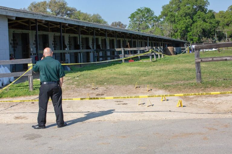 Body discovered at horse farm
