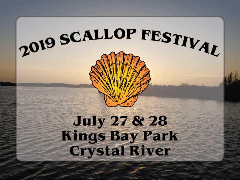 scalloping crystal river, scallop season, citrus gazette