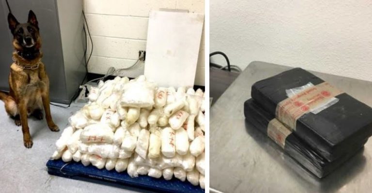 $4.1 million in drugs seized by Homeland Security