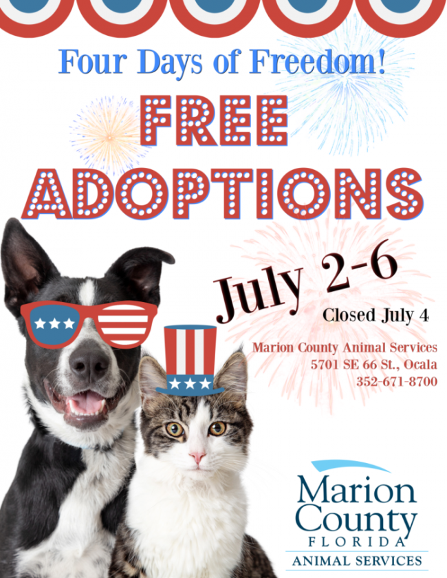 Ocala Post Free pet adoptions, four days only
