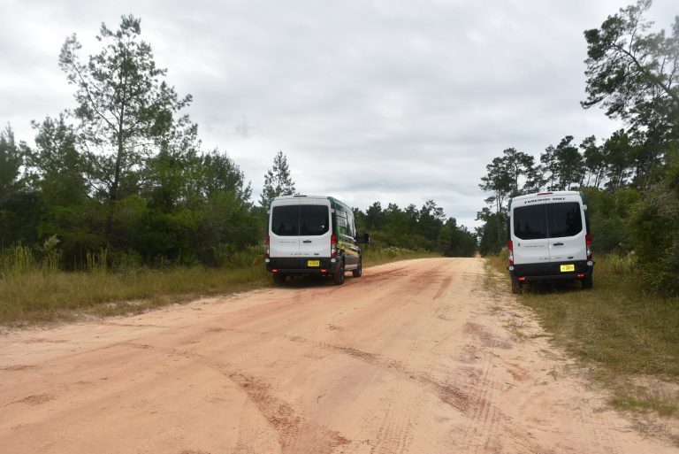 Human remains found by hunter