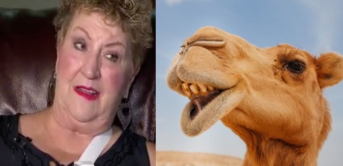 woman bites camel, woman bites testicles, florida woman, ocala news