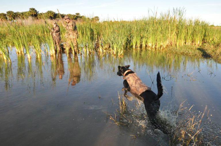 Duck hunters should be aware of changes in the law