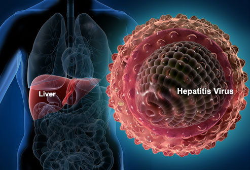 citrus county, hepatitis A