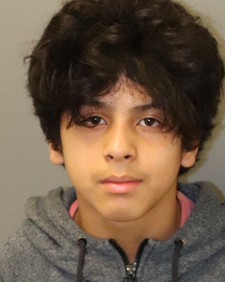 12-year-old arrested for aggravated animal cruelty