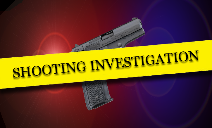 Man shot to death in Belleview
