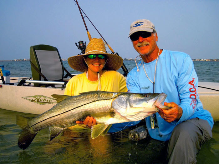 Snook season soon opens to recreational harvest in some Gulf waters