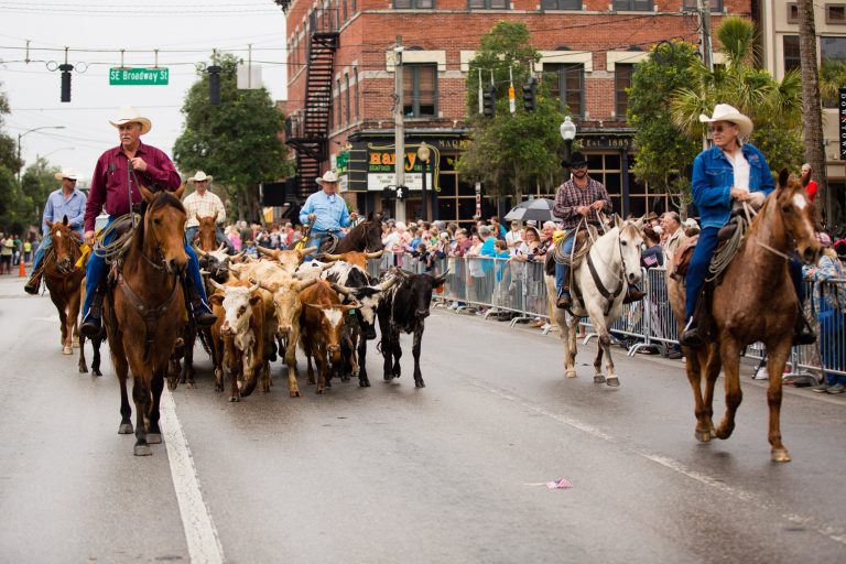 Cattle Drive and Cowboy Round-Up event