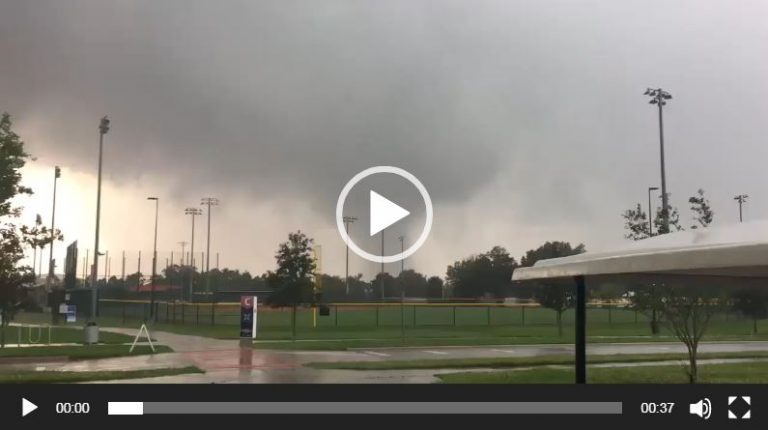 Tornadoes touch down across Florida, cause damage