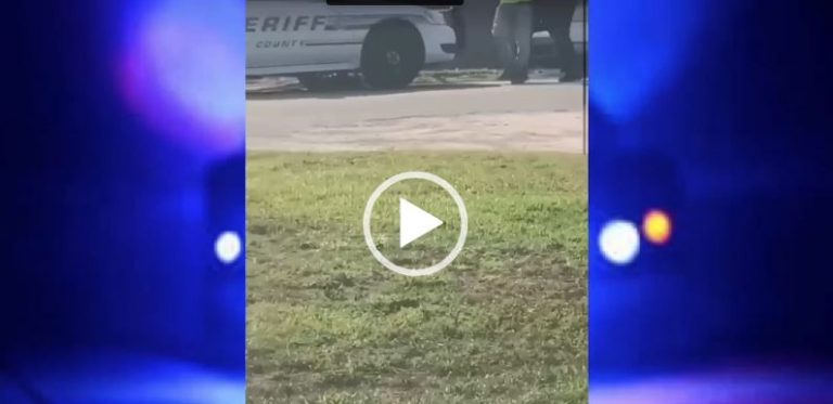 Two Polk County deputies under review after video clip surfaces