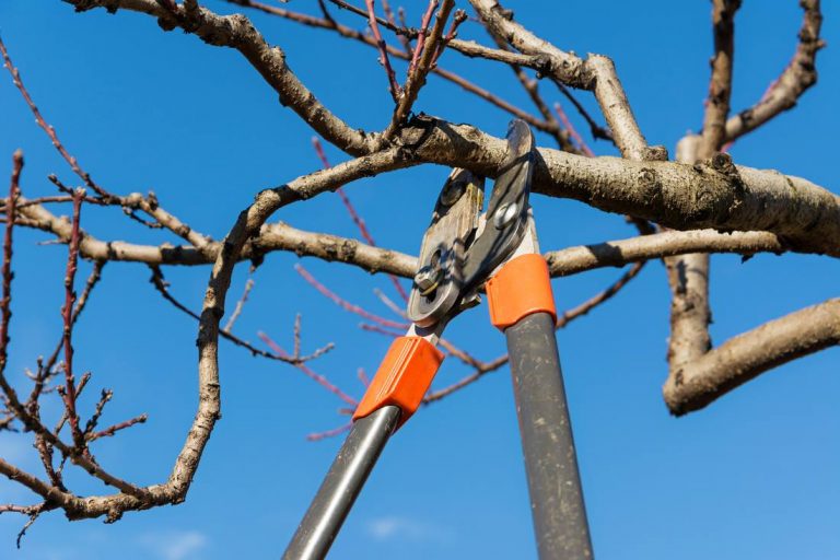 AGM Tree Service says they are hiring, but tired of lame excuses