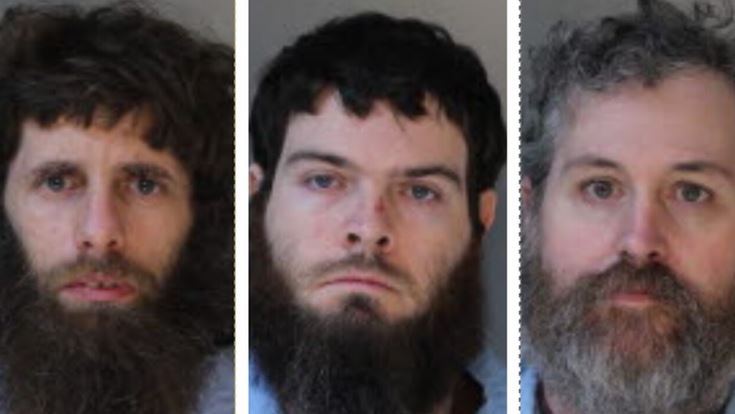 Three men had intercourse with animals hundreds of times, say punishment was too harsh
