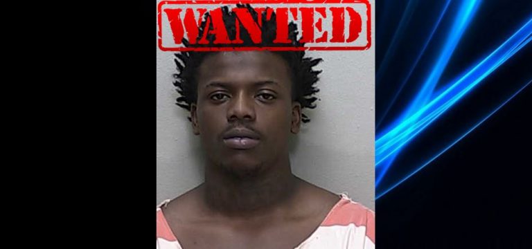 ocala news, ocala post, woman beater