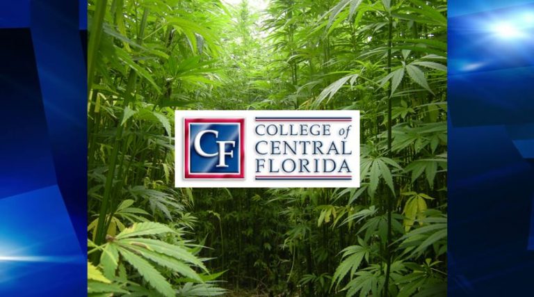 CF is first state college approved to cultivate hemp