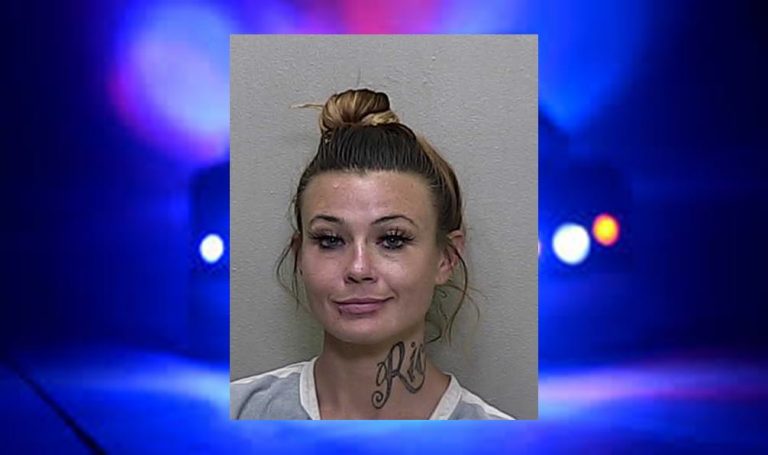 Ocklawaha woman crawled through doggy door, charged with multiple felonies