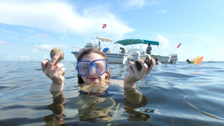 scallop season, ocala news, ocala post, crystal river