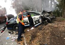 cop ran red light, ocala news, ocala post