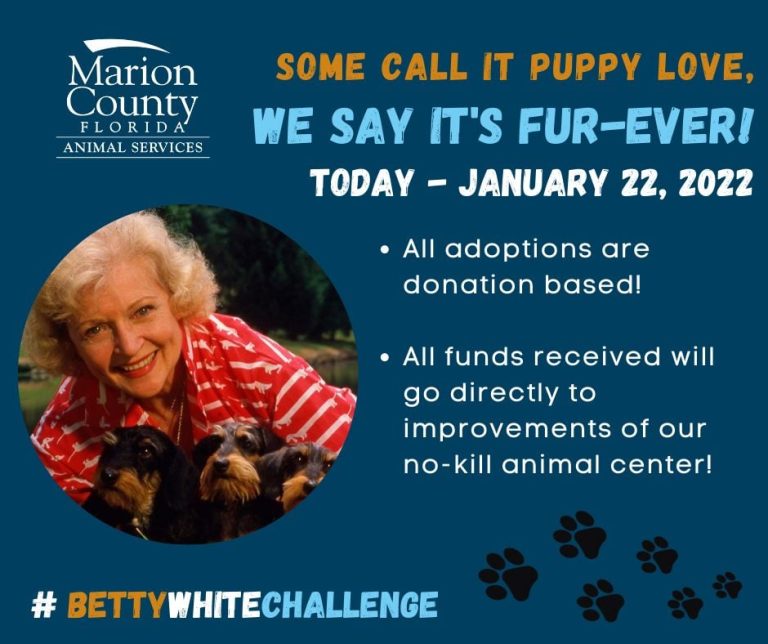 Marion County Animal Services joins #BettyWhiteChallenge