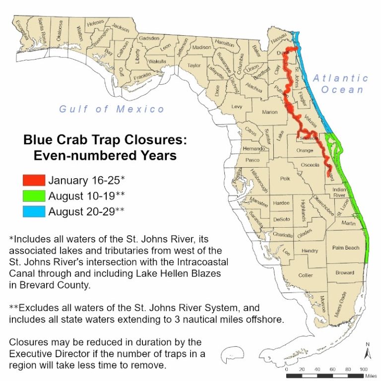 St. Johns River blue crab trap closure ending early