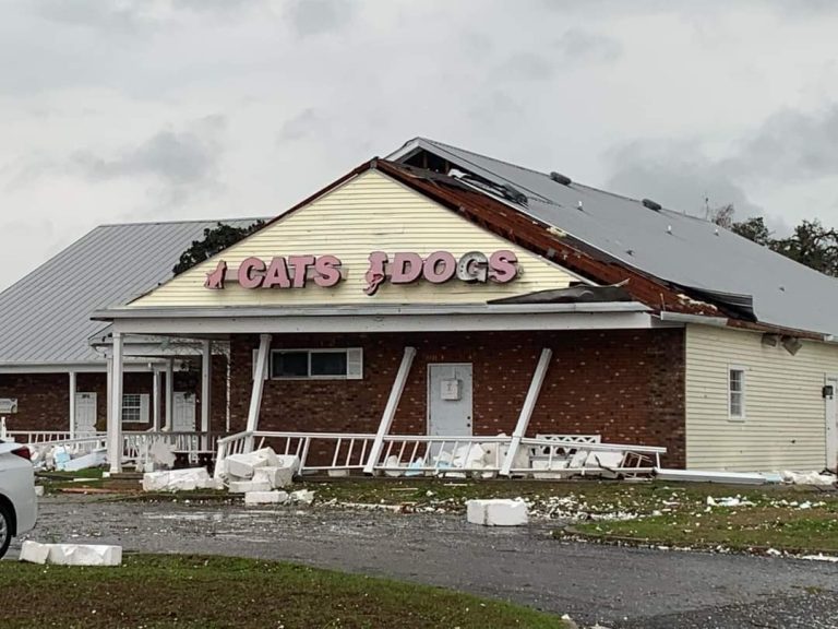 Tornado touches down is Ocala, part of SR 200 closed