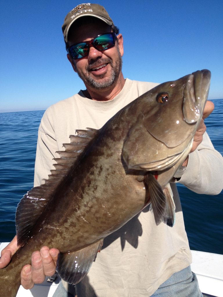 4 Florida counties open gag grouper recreational harvest