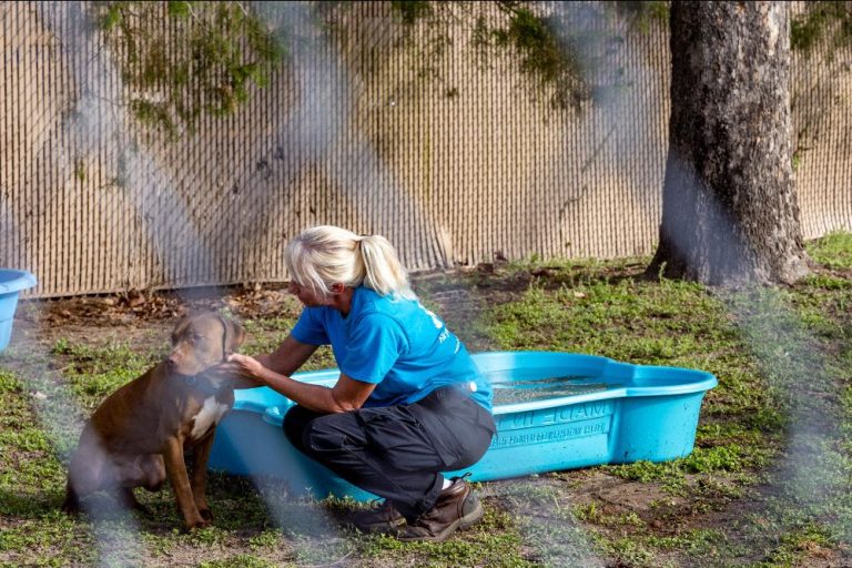 Marion County commission leads the way to new animal facility