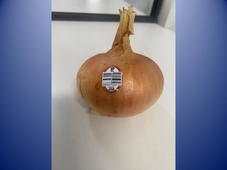 Publix pulls Vidalia onions from shelves due to contamination concerns