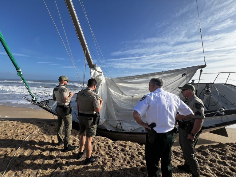 sail boat, chitwood, daytona news