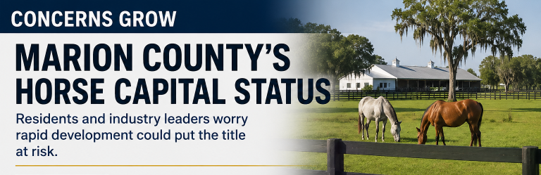 ocala news, horse country